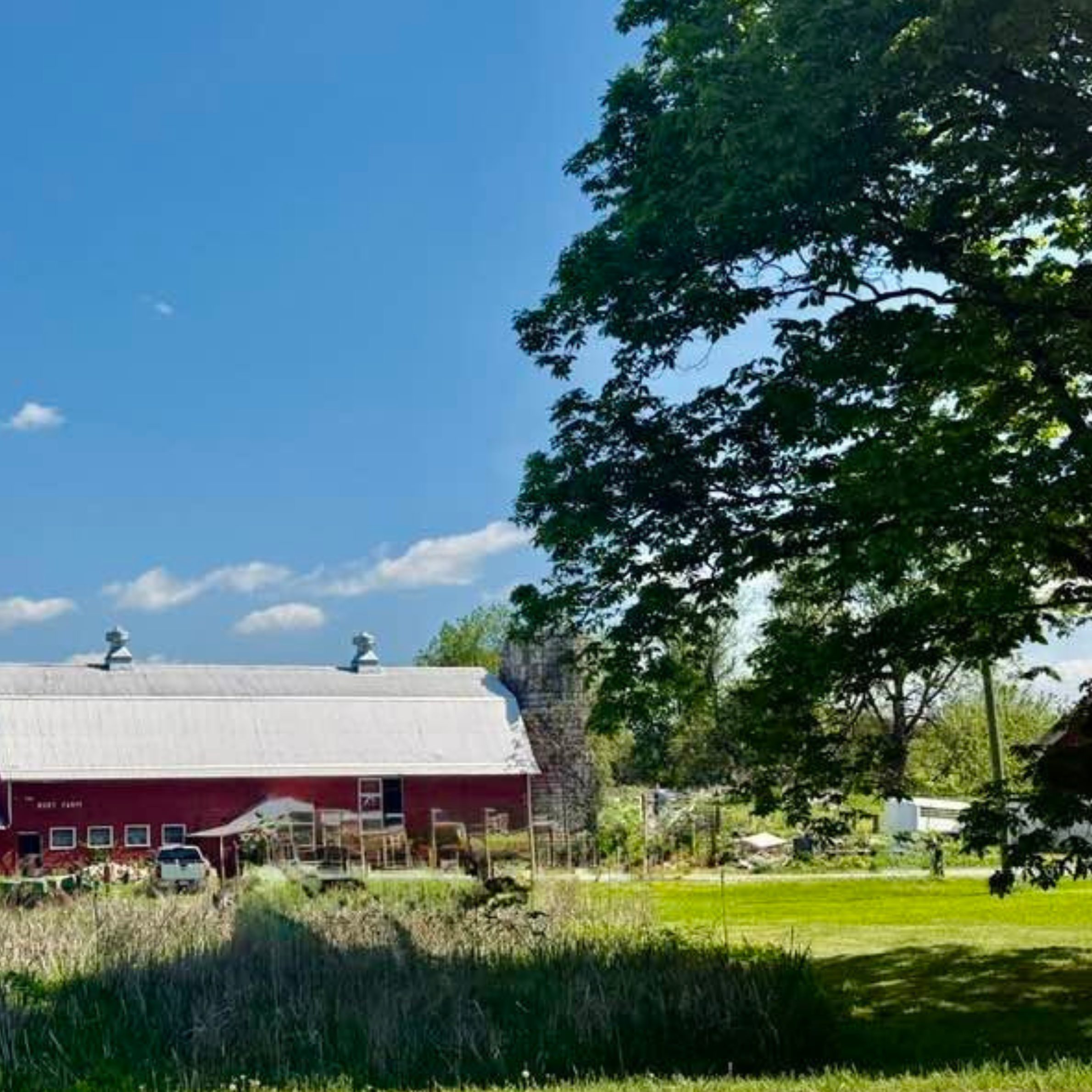 Burt Farms